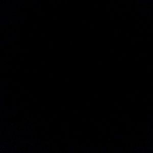 Meet your Posher, Precious